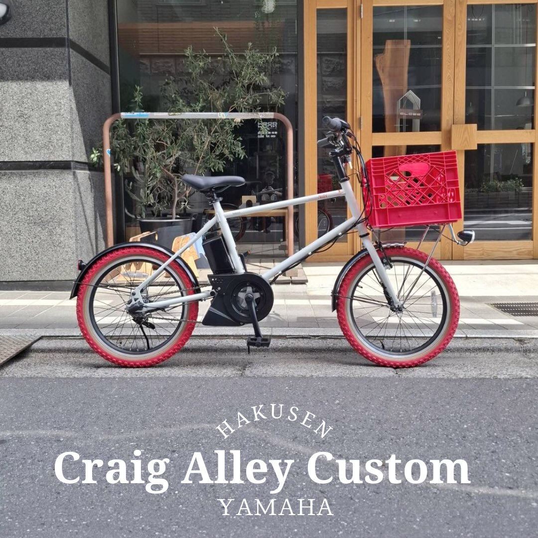 PAS CRAIG ALLEY ハクセン施工事例4