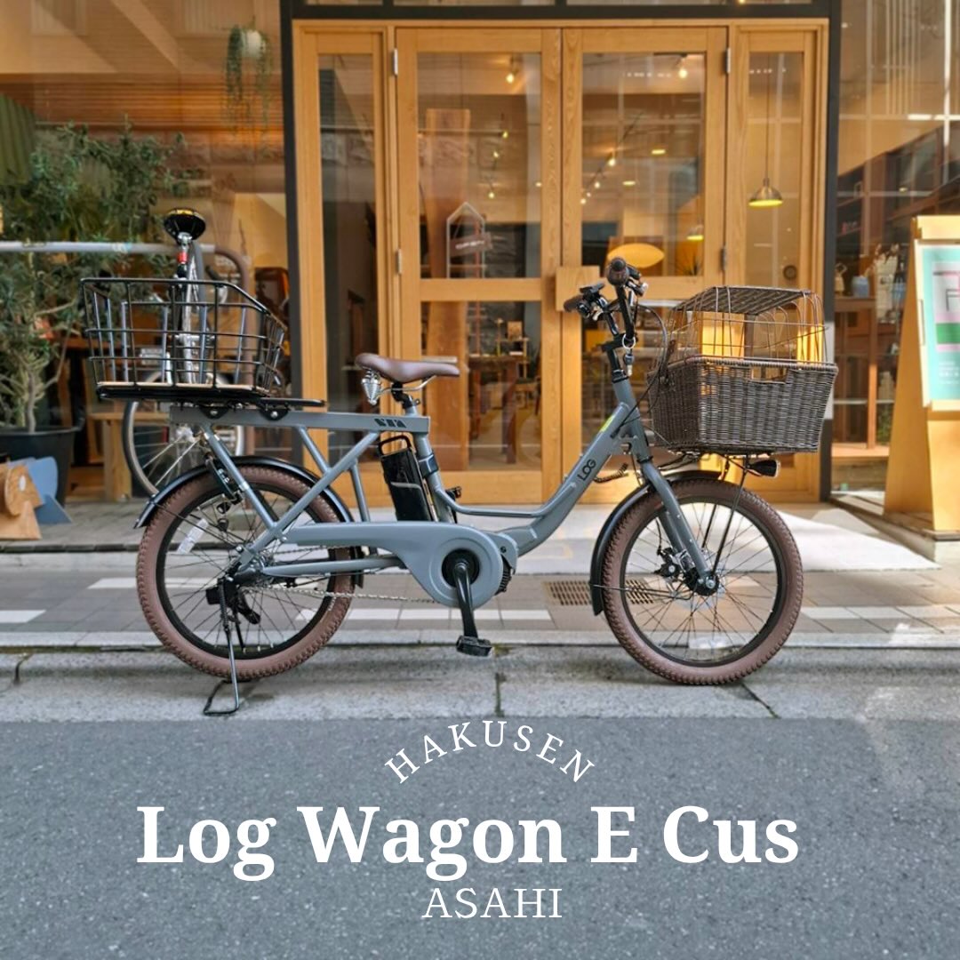 ASAHI LOG WAGON E ハクセン実車施工写真