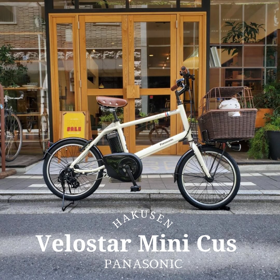 ハクセン施工 VELOSTAR MINI ペットバスケット仕様