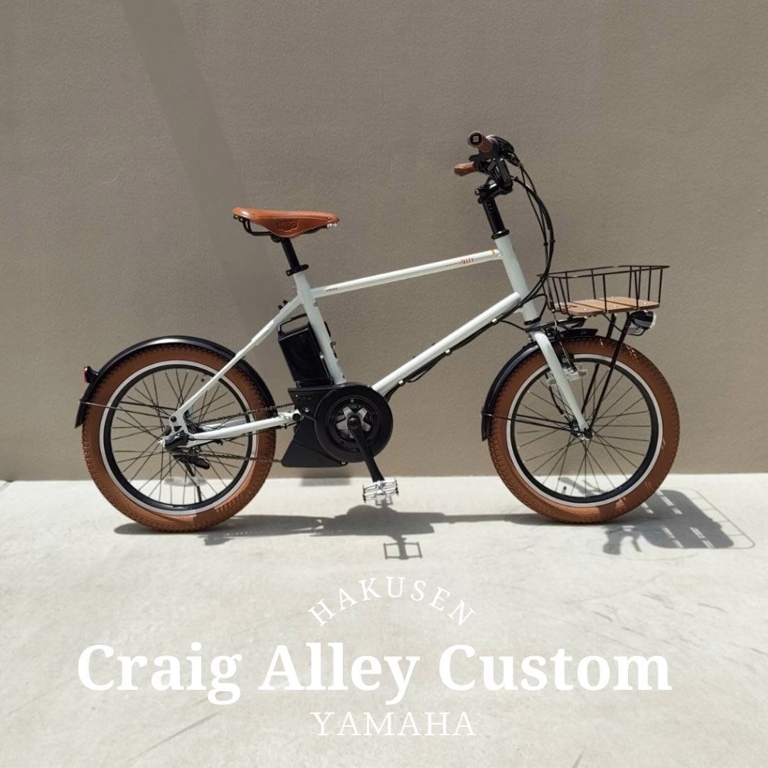 PAS CRAIG ALLEY ハクセン施工事例5