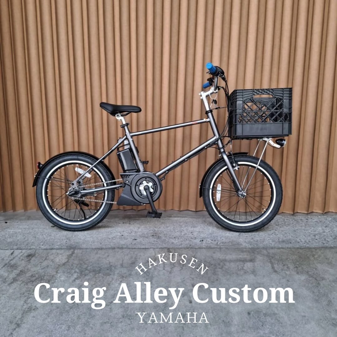 PAS CRAIG ALLEY ハクセン施工事例6