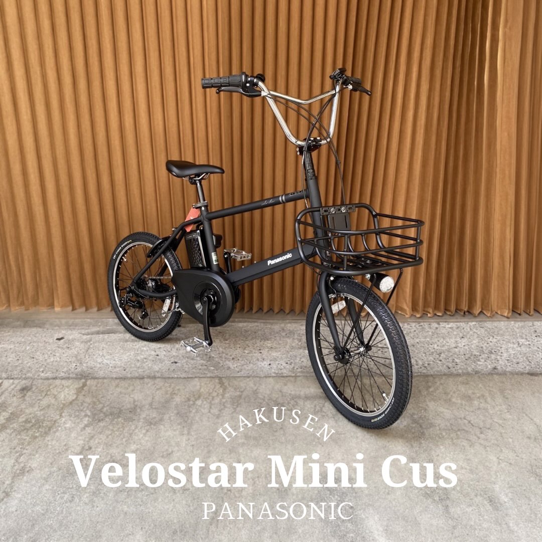 Panasonic VELOSTAR MINI ハクセン施工写真