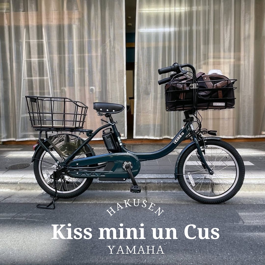 YAMAHA PAS KISS ハクセン実車施工事例4 2023-08-05 ペット乗せカスタム/ブラックレザーグリップ/テリーブラックサドル/Nウッドリアバスケット