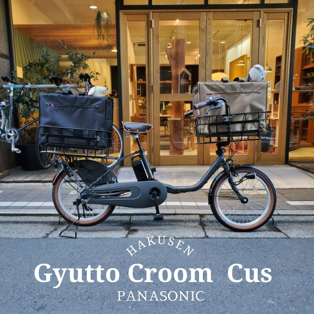Panasonic GYUTTO CROOM DX ペット乗せ実車カスタム