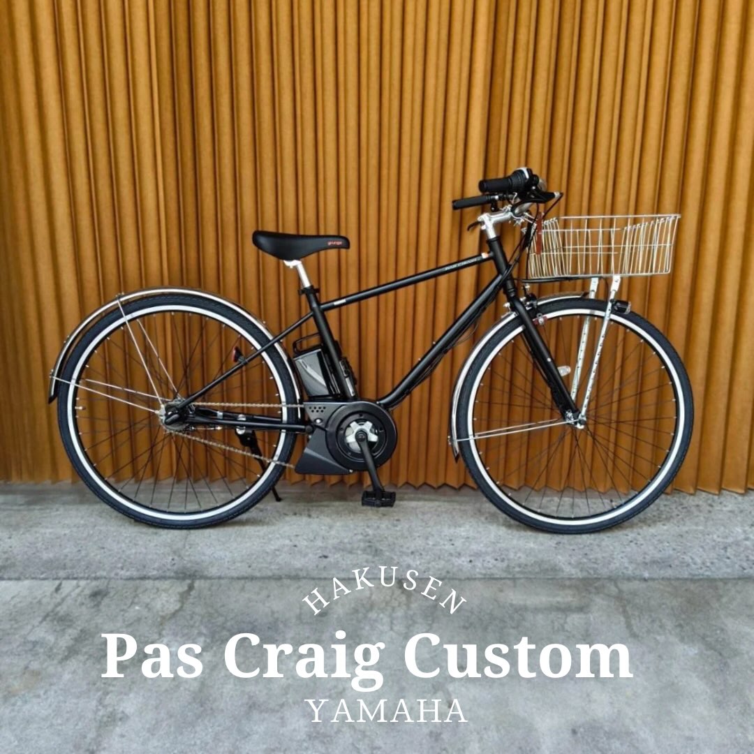 YAMAHA CRAIG PLUS ハクセン施工事例1
