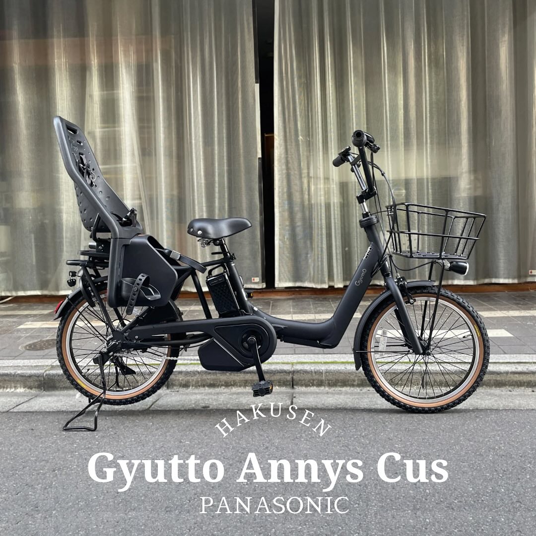 Panasonic GYUTTO ANNYS 実車カスタム