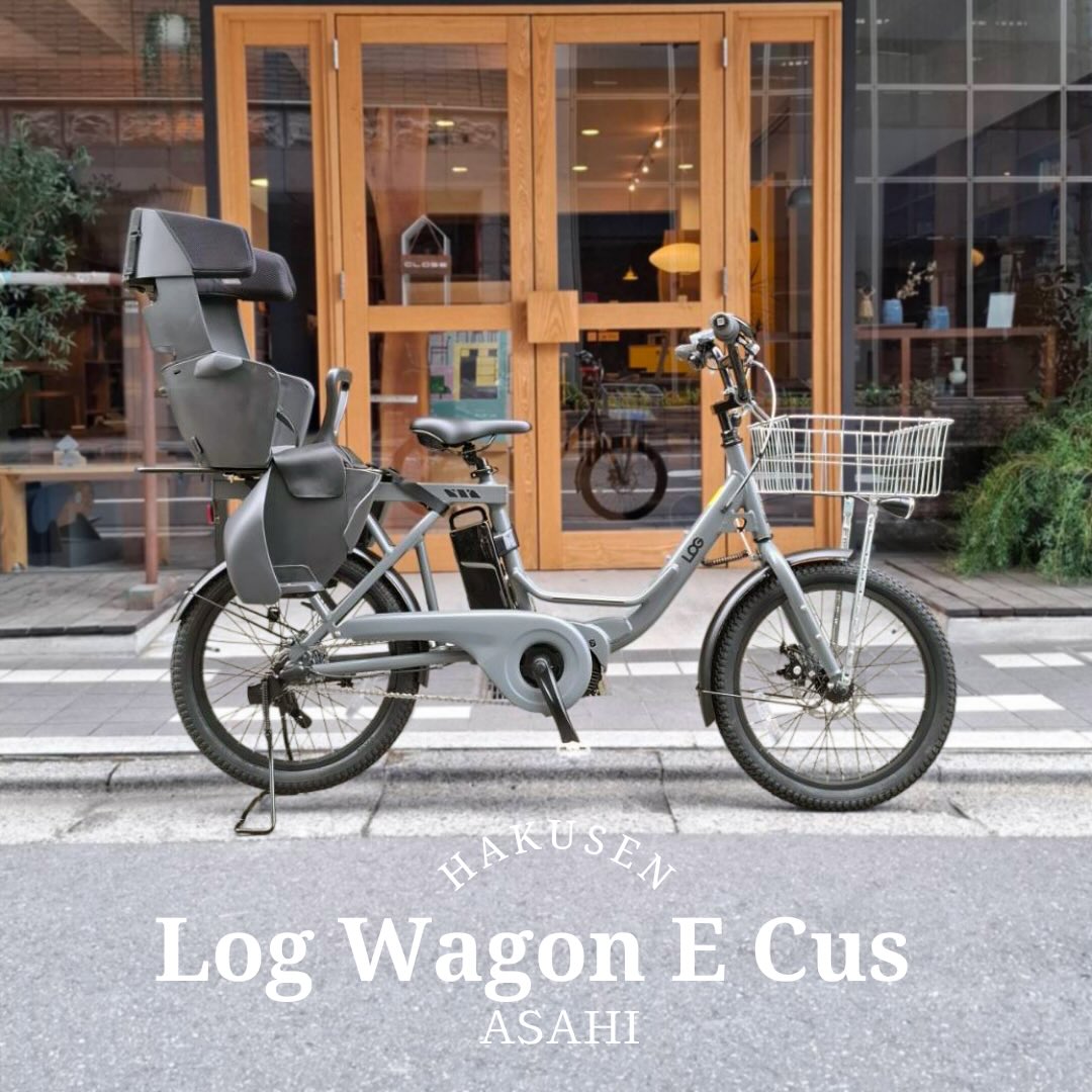 ASAHI LOG WAGON E ハクセン施工事例2