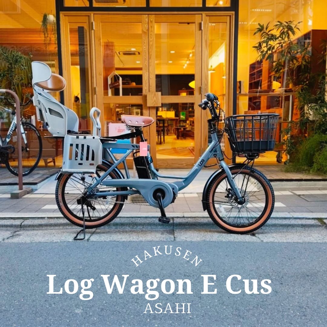 ASAHI LOG WAGON E ハクセン施工事例7